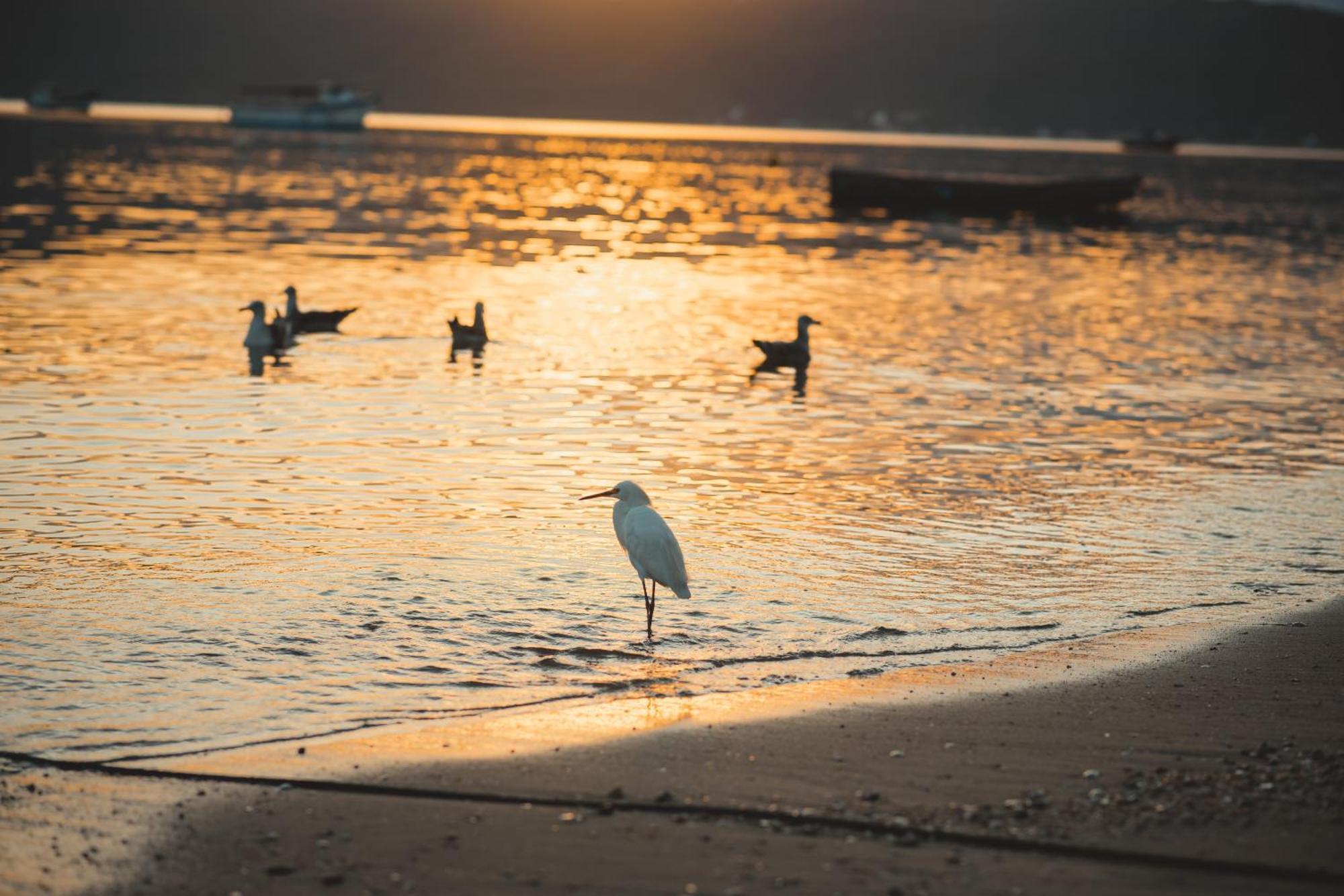 Pousada Canto Do Pescador Бомбіняс Екстер'єр фото